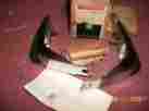 994373 Nos Chevrolet 1973 Monte Carlo Rear Bumper Guards Gm Accessory