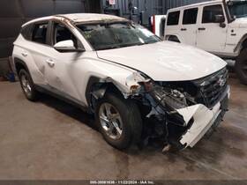 168.hy1322 Hyundai Tucson 2022 Rear Side Marker 616961