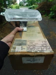 1992-1995 Ford Taurus Rh Pass. Side Marker Light E6DZ-15A201-AA *new*. Fixed Price $12.99.