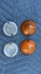 Ford Mustang Fastback 64CR Oem Light Covers. Fixed Price $30.00.
