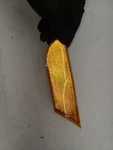 2018 -2022 Honda Odyssey Lh Driver Side Marker Light Oem W3126. Fixed Price $19.99.