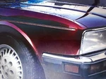 Jaguar XJ40 XJ6 Sovereign 1986-1994 Body Pinstripe Stripes Coachline Kit. Fixed Price $120.88.