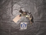 1985-1989 Toyota MR2 AW11 4AGE 1.6L Driver Left Door Lock Actuator Power 1986. Fixed Price $67.50.