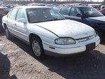 Used Side Marker Light Assembly Fits: 1995 Chevrolet Lumina Car Bump. Fixed Price $37.00.