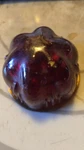 Oem Doray Lamp Co Beehive Bullet 1/2" Red Glass Lens. Fixed Price $24.00.