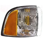 For Dodge Ram Pickup Parking Signal Marker Light 1994-2002 Passenger Side. Fixed Price $29.90.