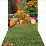 Outdoor 10'X20'COMPUTER/DIGITAL Vinyl Scenic Photo Backdrop Background SP-248B88. Fixed Price $79.99.