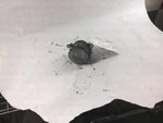 Corner/park Light Fog-driving Hatchback Sportback Fits 08-13 SX4 563335. Fixed Price $101.48.