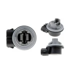 Parking Light Bulb Socket Dorman 1993-2003 Ford Ranger 1994 1995 1996 1997. Fixed Price $20.89.
