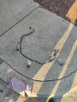 2006-11 Cadillac Dts Lucerne Front Bumper Park Assist Sensor & Wire Harness Oem. Fixed Price $93.00.