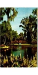 Cypress Gardens Fl Kayak Trees Postcard 1950S CG5345 Series 4855 Scenic Pond. Fixed Price $8.99.