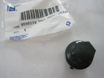 Gm Nos Part 9595119 Lug Nut Cover Fits 30 Different Models. Fixed Price $8.99.
