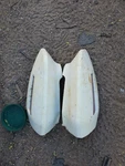 1973 - 1977 Pontiac Grand Prix Rear Quarter Panel Fender Extension 9872133 Gm. Fixed Price $50.00.