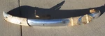 Nos New 1946 1947 1948 Chevy Rear ? Bumper Original Gm. Fixed Price $325.00.