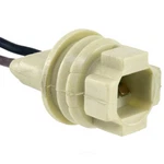 Side Marker Light Socket Wve 6S1065. Fixed Price $28.99.